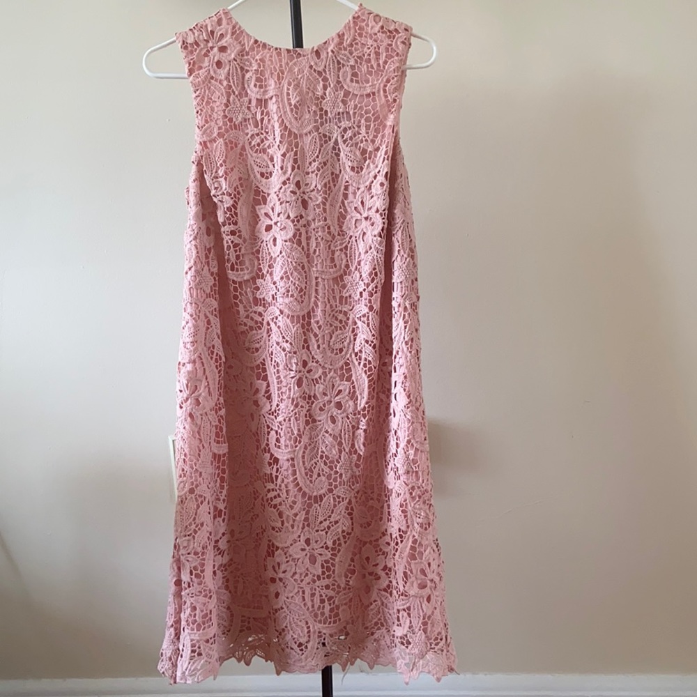Blush colored mid-length dress NWT